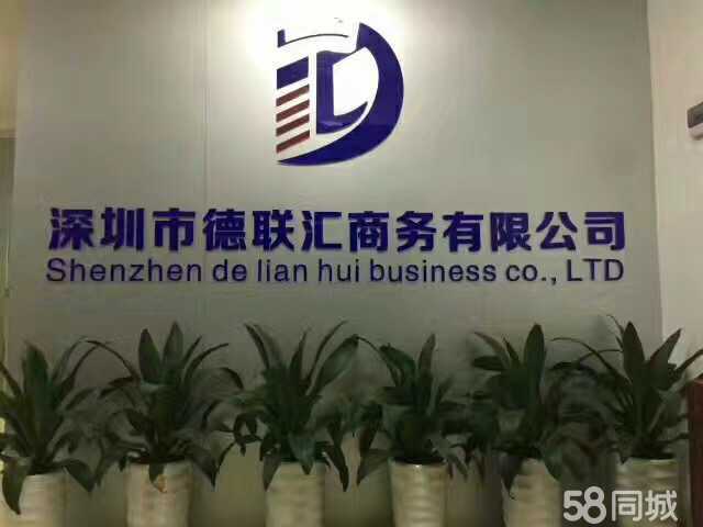 深圳市德联汇商务 个人商务服务的专业领航者